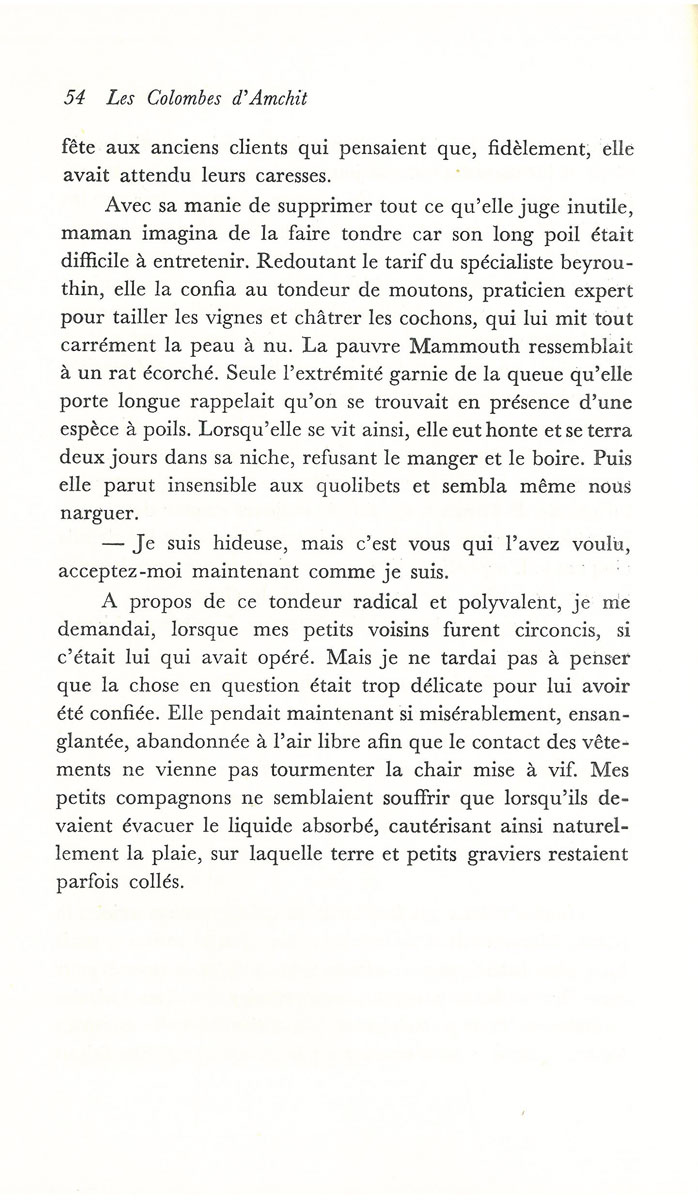 Les-Colombes-d'Amchit_Page_054.jpg