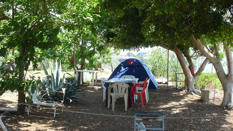 Camp site